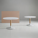 Mesa MIRA 120 Redonda Fija Blanco/Roble | MB Mobles