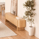 Mueble TV SIDNEY de 160 cm con 3 puertas, en un salón con olivo y cuadro apoyado